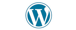 WordPress Card image cap